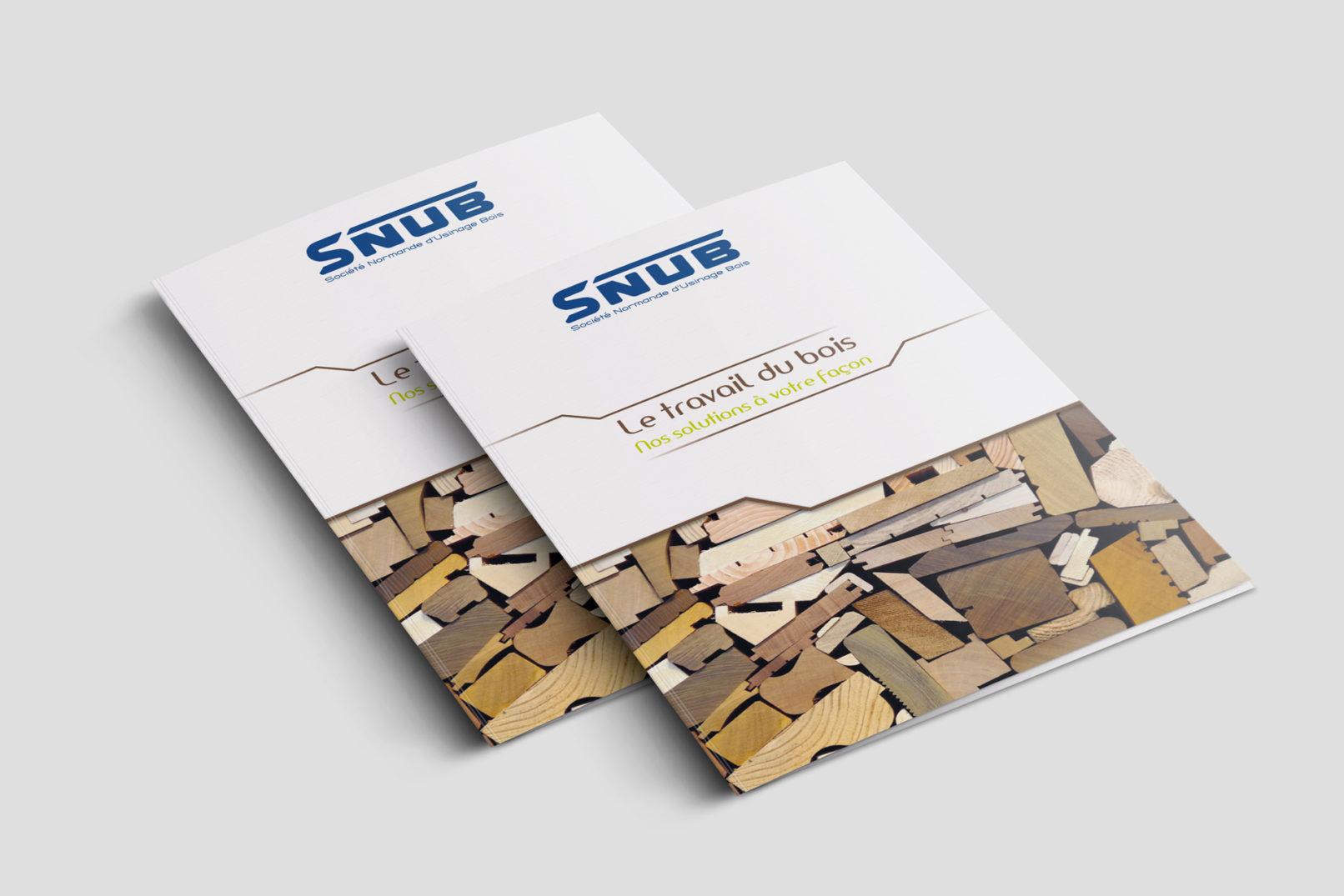 Visuel de la pochette/Plaquette de SNUB