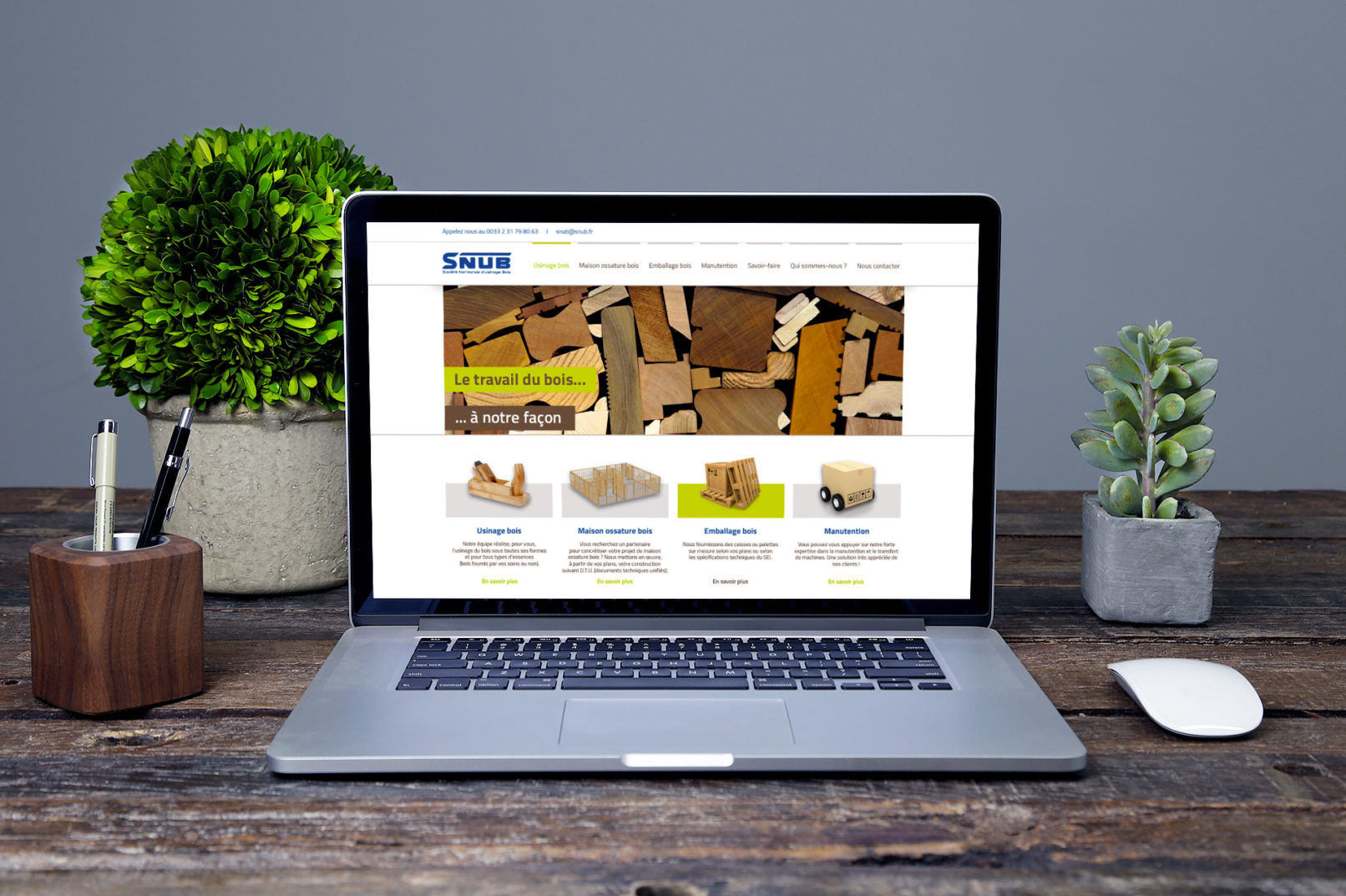 UI Design du site internet de SNUB